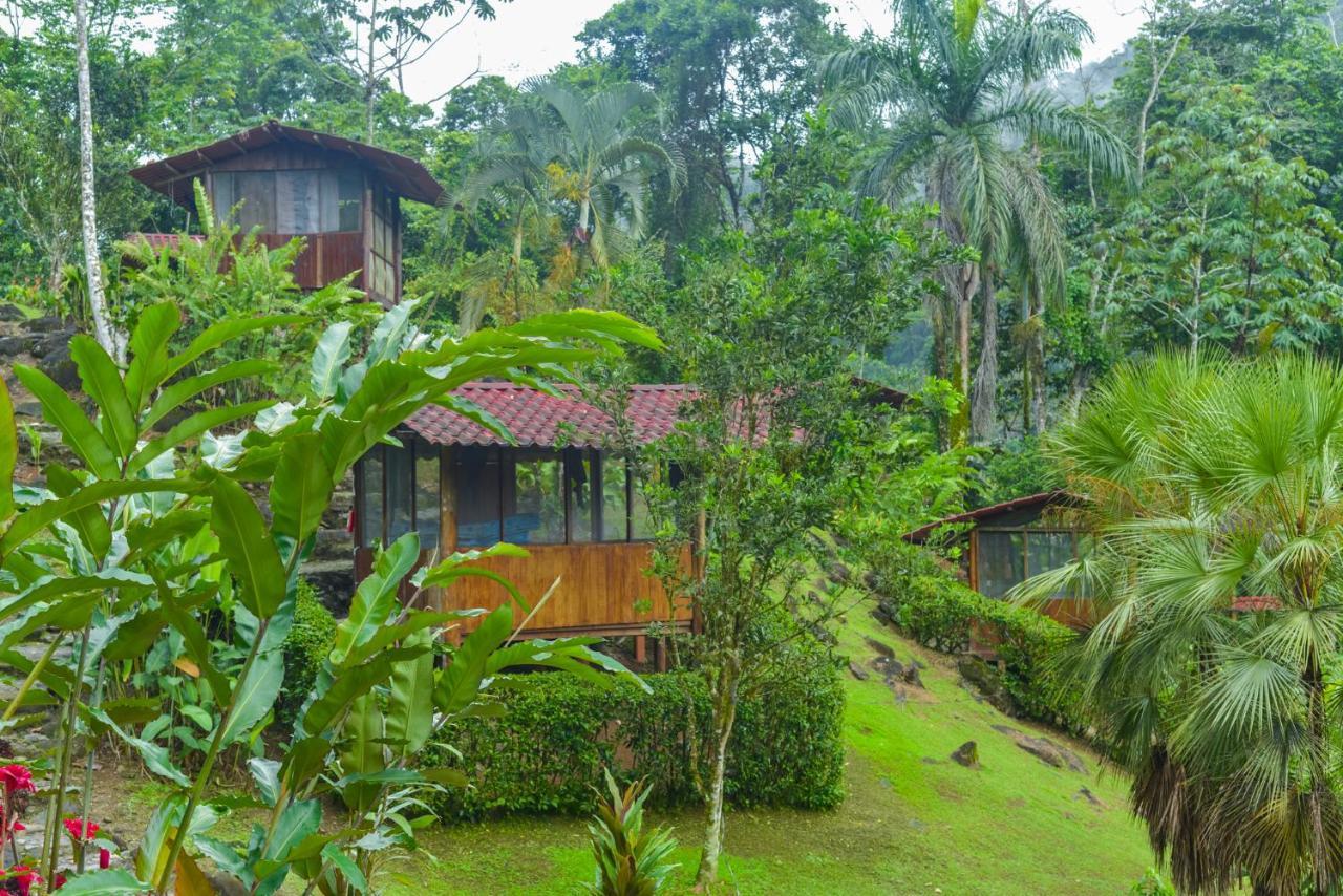 Pacuare River Lodge Bajo Tigre Esterno foto