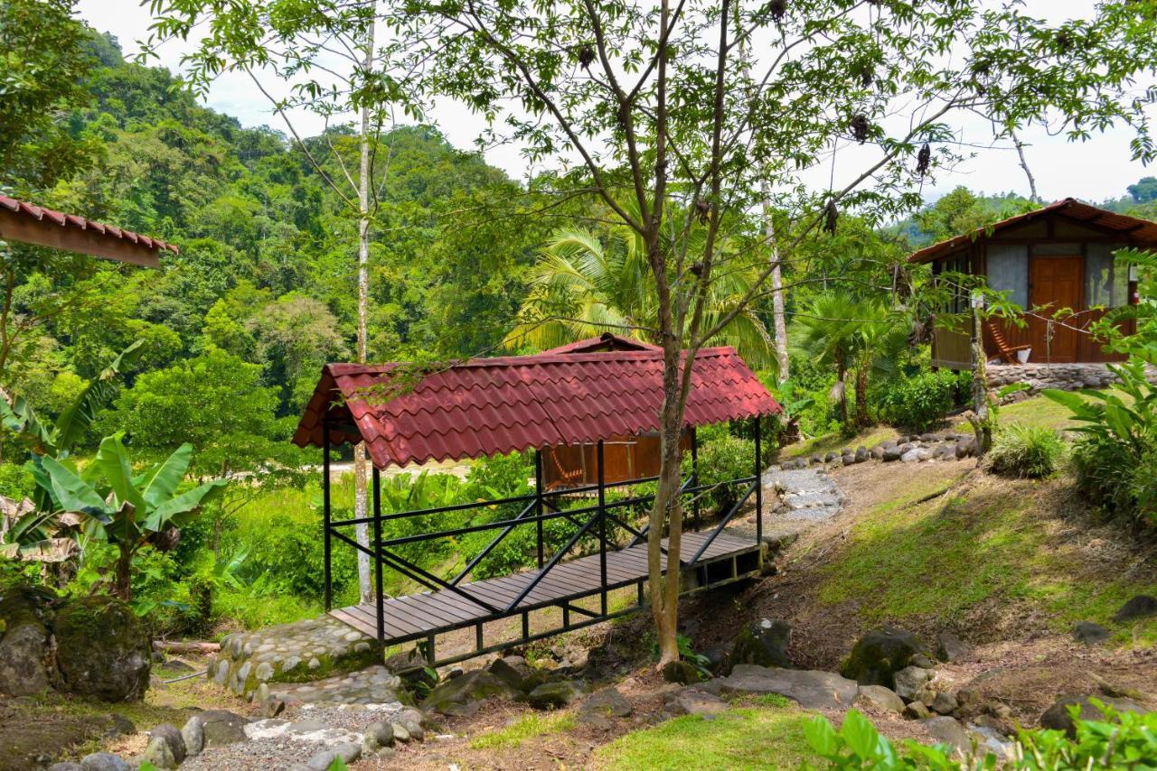 Pacuare River Lodge Bajo Tigre Esterno foto
