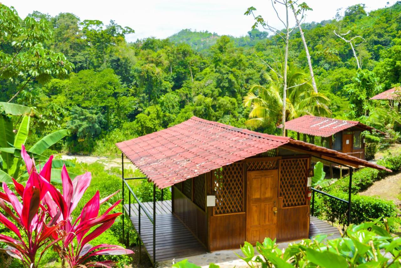 Pacuare River Lodge Bajo Tigre Esterno foto