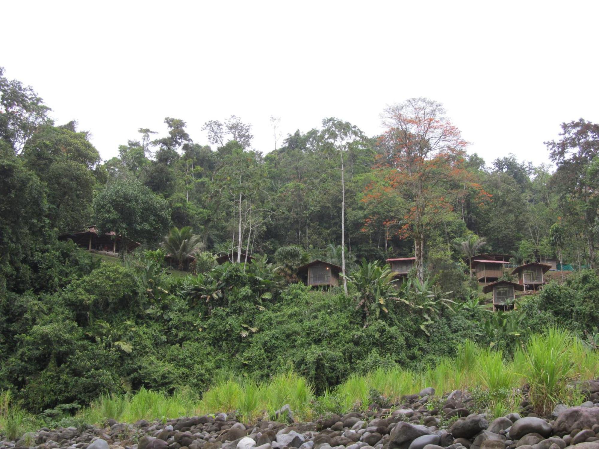 Pacuare River Lodge Bajo Tigre Esterno foto