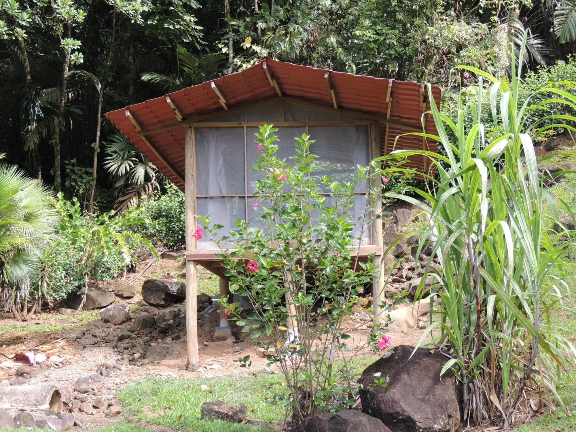 Pacuare River Lodge Bajo Tigre Esterno foto