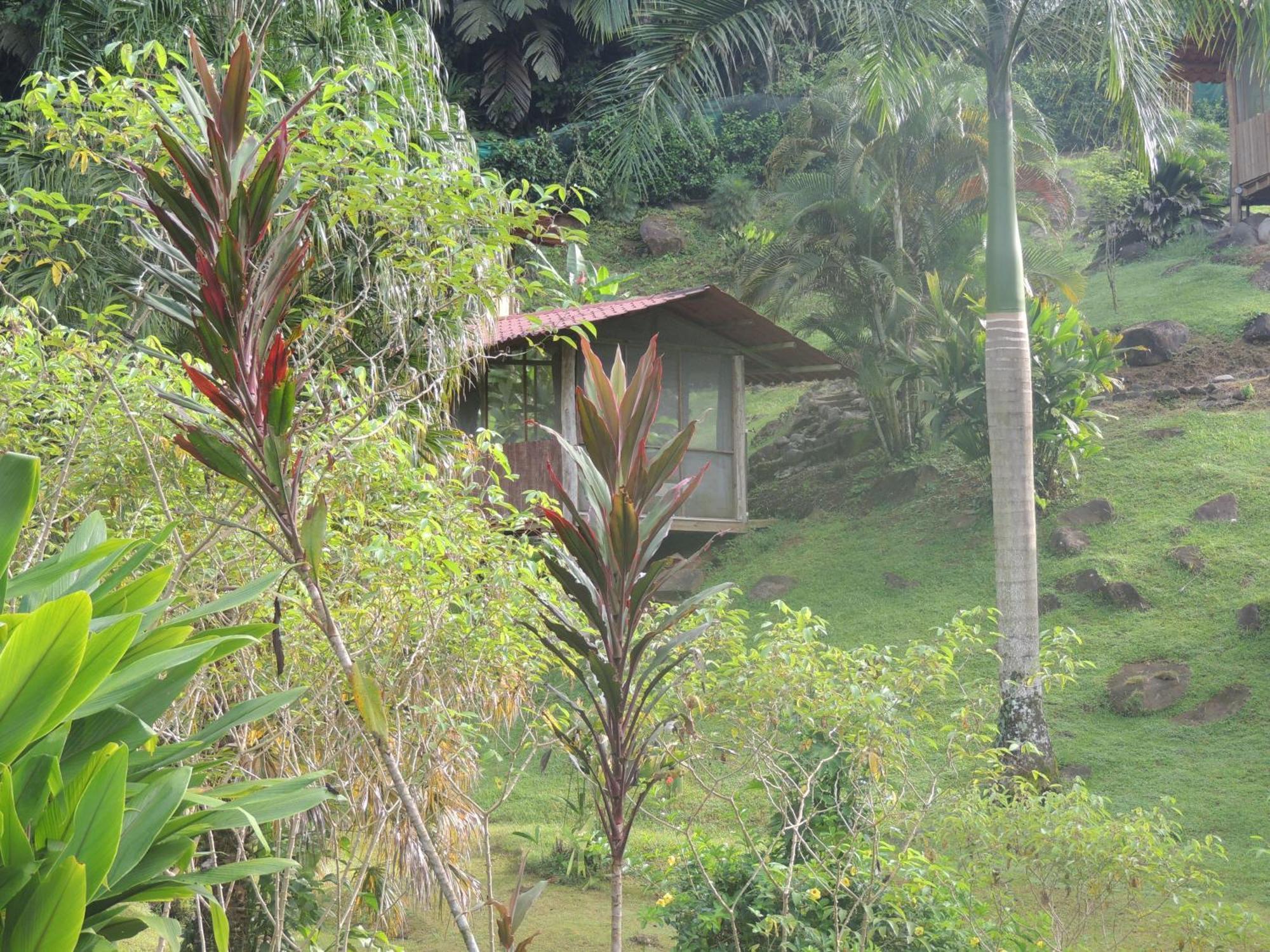 Pacuare River Lodge Bajo Tigre Esterno foto