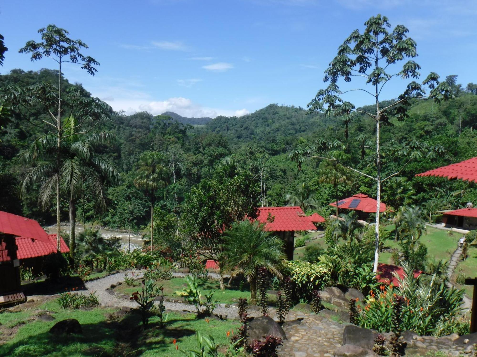 Pacuare River Lodge Bajo Tigre Esterno foto