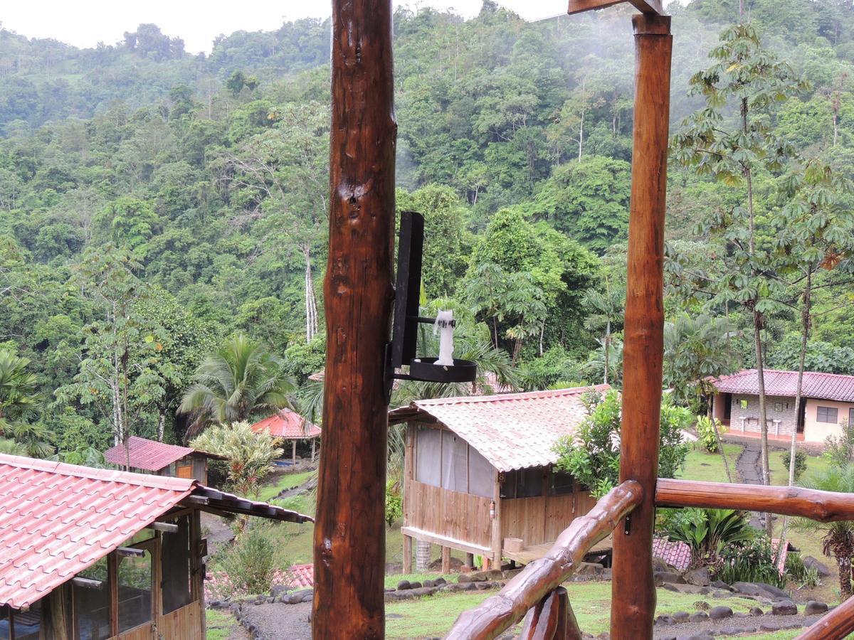 Pacuare River Lodge Bajo Tigre Esterno foto