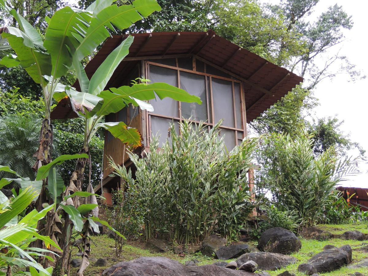 Pacuare River Lodge Bajo Tigre Esterno foto