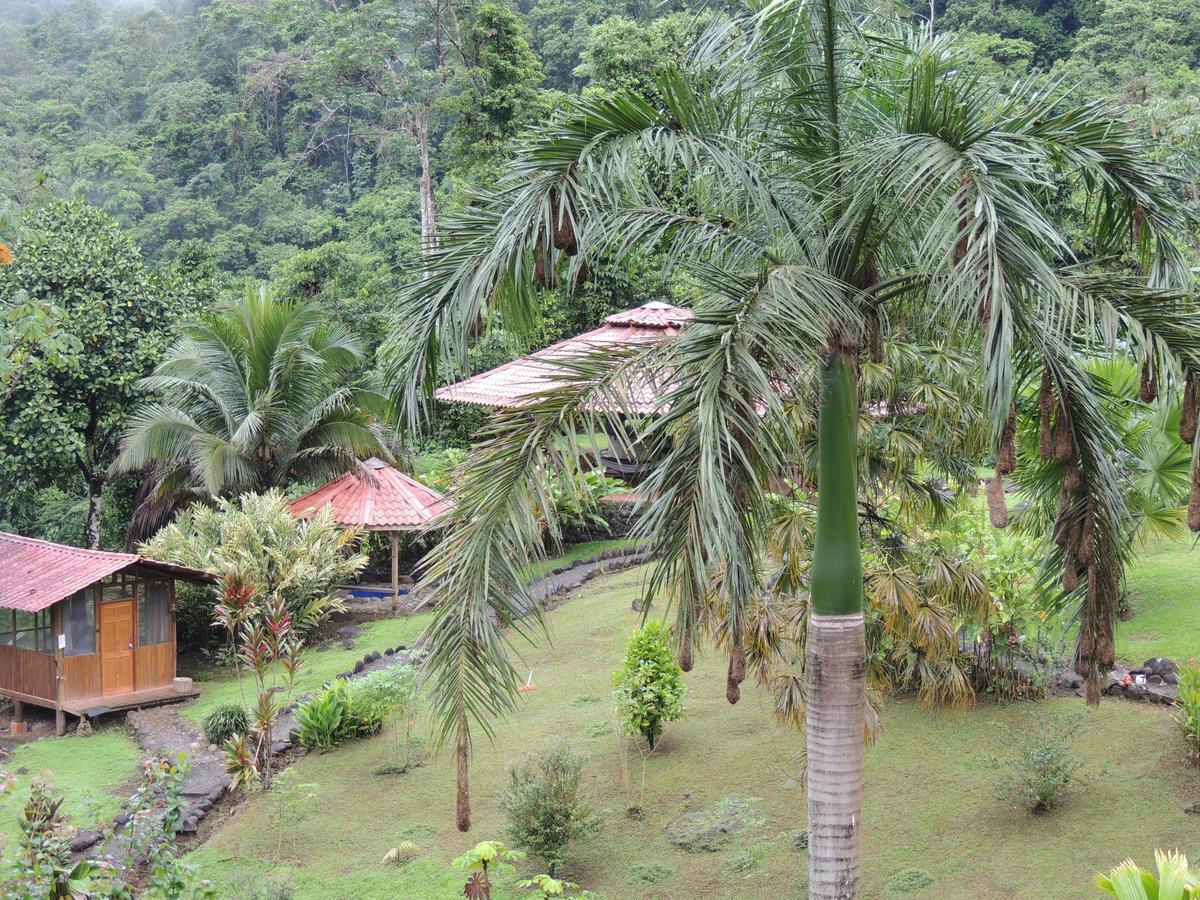Pacuare River Lodge Bajo Tigre Esterno foto