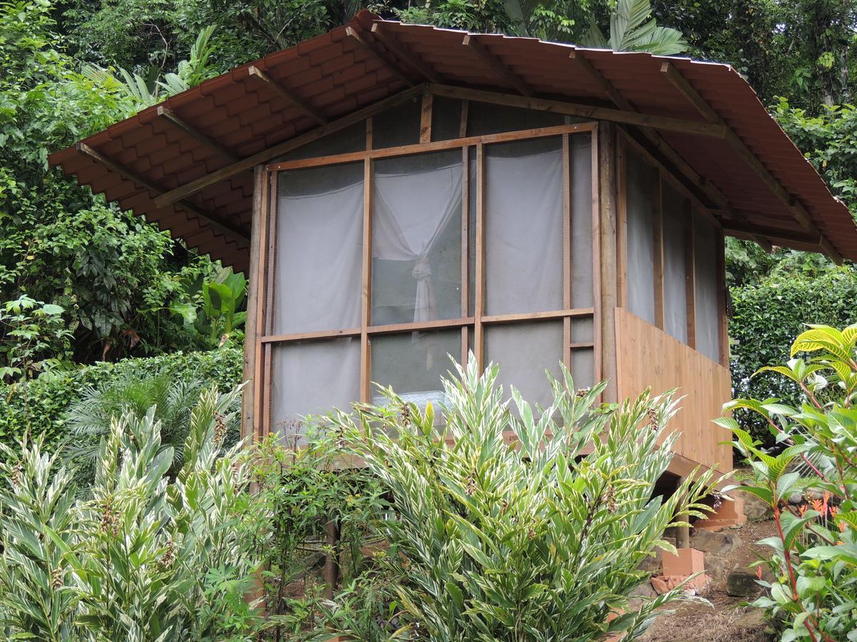 Pacuare River Lodge Bajo Tigre Esterno foto