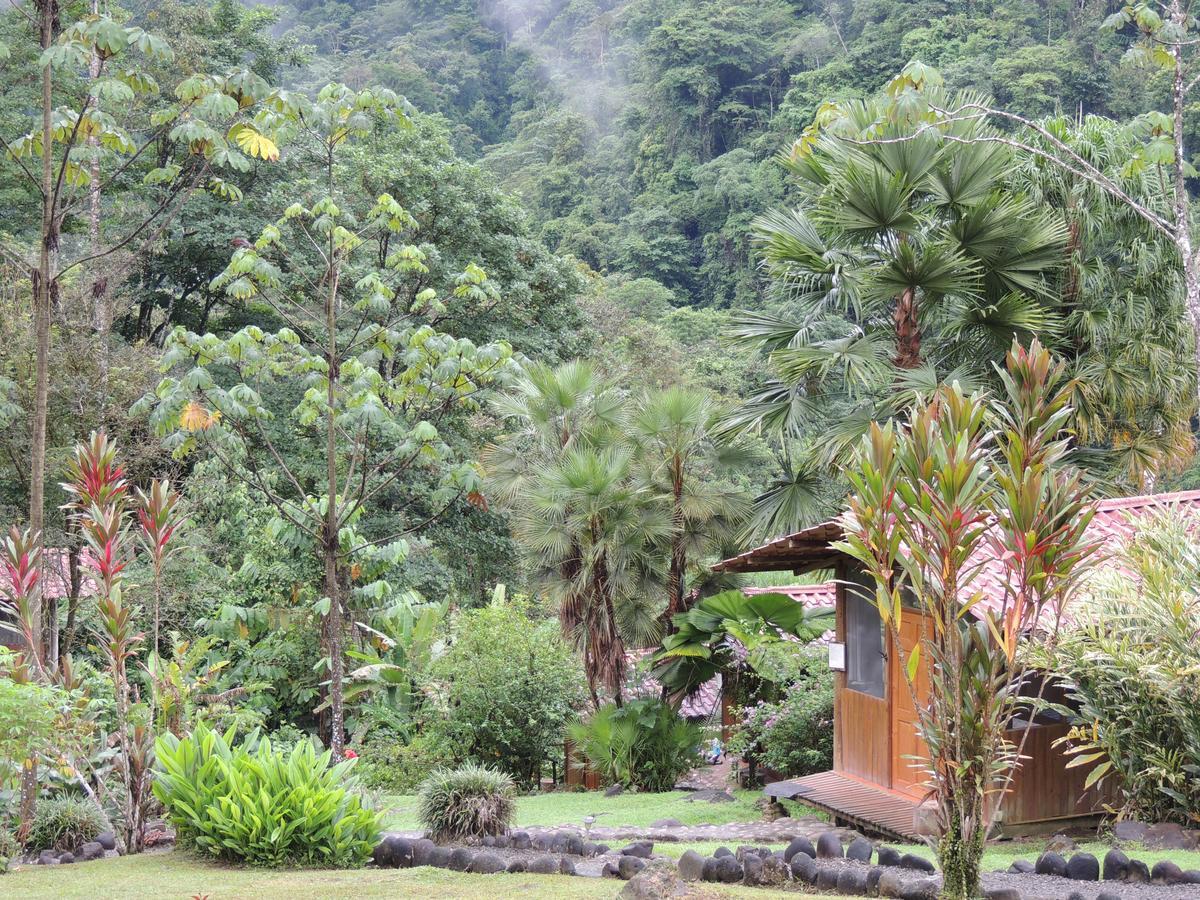 Pacuare River Lodge Bajo Tigre Esterno foto