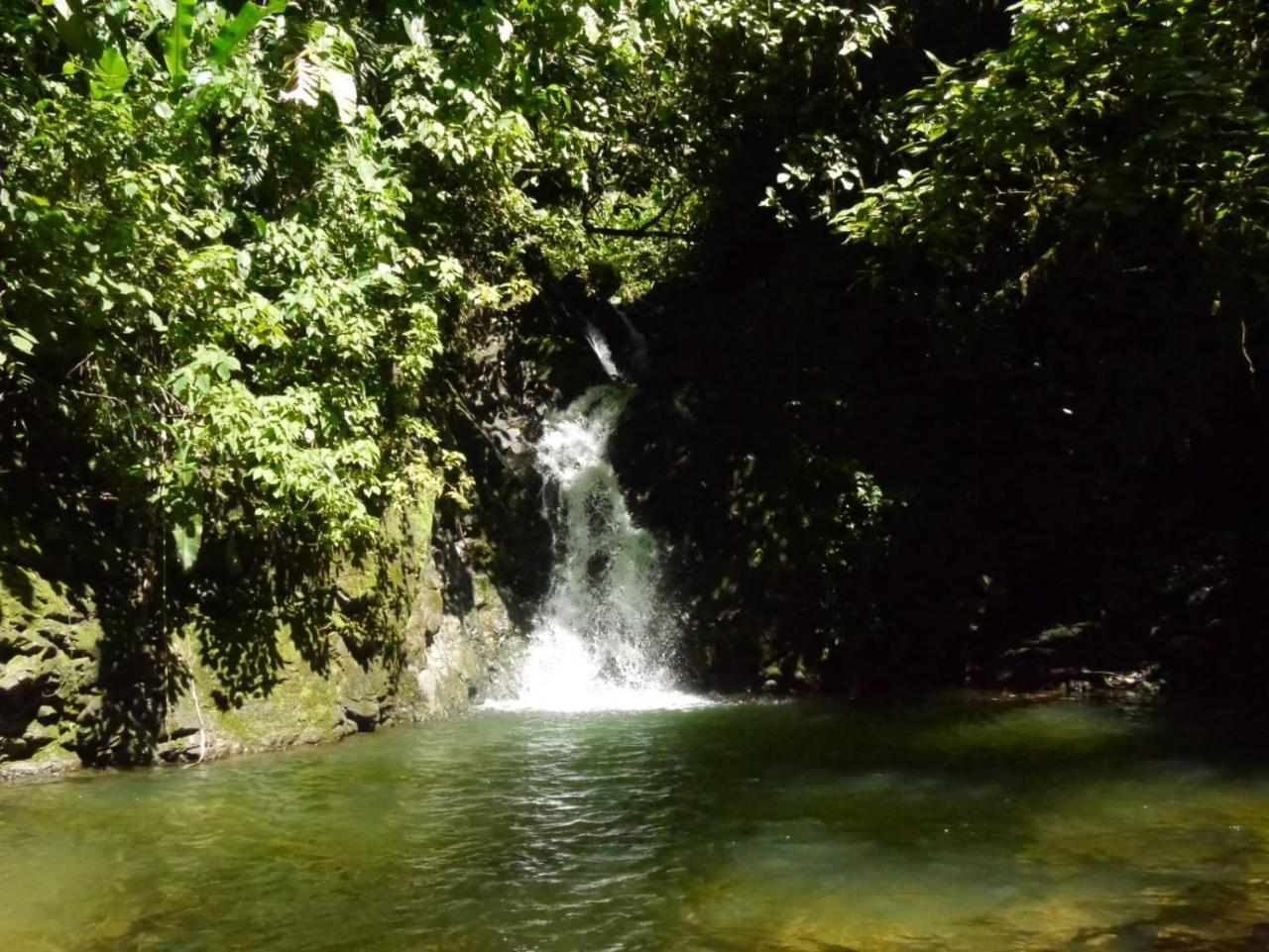 Pacuare River Lodge Bajo Tigre Esterno foto